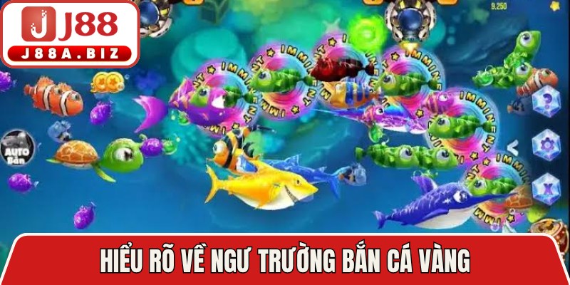Hiểu rõ về ngư trường bắn cá vàng